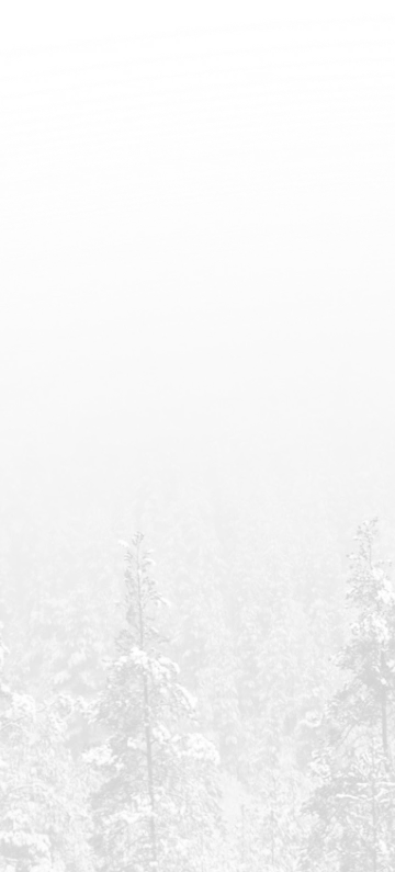 About Section Background