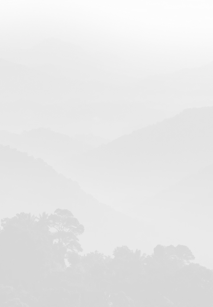 Insight Section Background