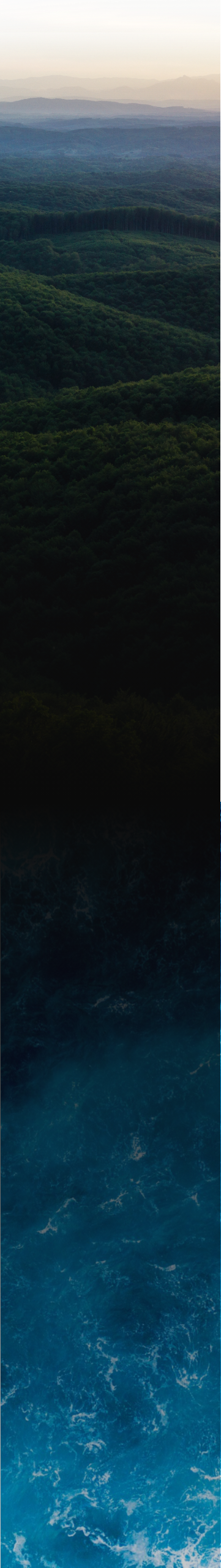 Service Section Background