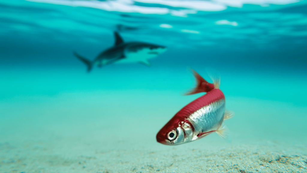 From hopelessness to healing: my chronic pain story